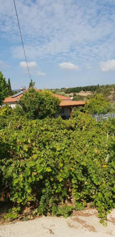 Guesthouse Agia Triada Koróni Exteriér fotografie